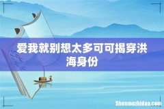 爱我就别想太多可可揭穿洪海身份