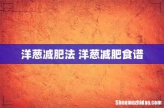 洋葱减肥法 洋葱减肥食谱