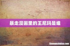 暴走漫画里的王尼玛是谁