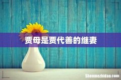 贾母是贾代善的继妻