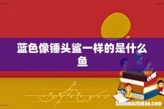 蓝色像锤头鲨一样的是什么鱼