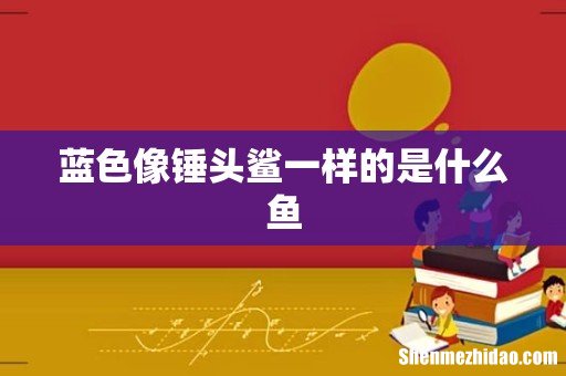 蓝色像锤头鲨一样的是什么鱼