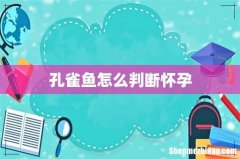 孔雀鱼怎么判断怀孕