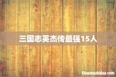 三国志英杰传最强15人