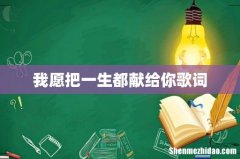 我愿把一生都献给你歌词