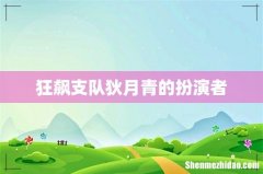 狂飙支队狄月青的扮演者
