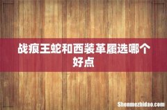 战痕王蛇和西装革履选哪个好点