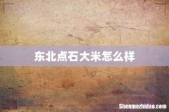 东北点石大米怎么样