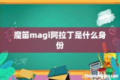 魔笛magi阿拉丁是什么身份