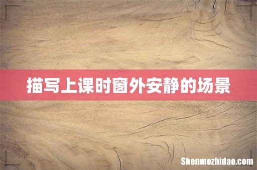 描写上课时窗外安静的场景