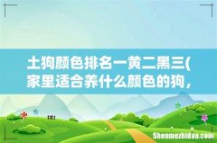 家里适合养什么颜色的狗，什么颜色的土狗更好 土狗颜色排名一黄二黑三