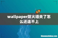 wallpaper防火墙关了怎么还连不上