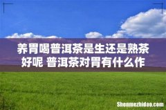 养胃喝普洱茶是生还是熟茶好呢 普洱茶对胃有什么作用