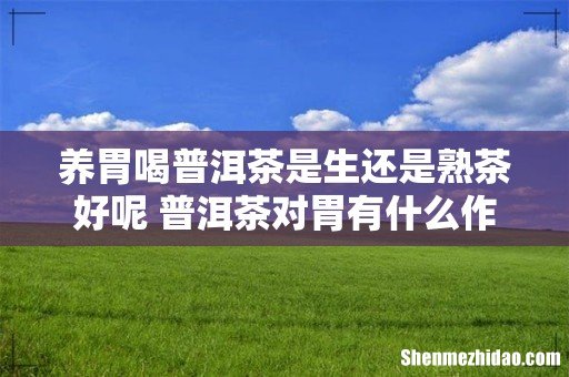 养胃喝普洱茶是生还是熟茶好呢 普洱茶对胃有什么作用