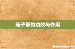 茄子蒂的功效与作用