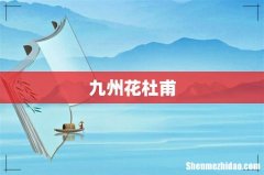 九州花杜甫