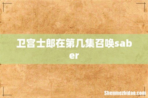 卫宫士郎在第几集召唤saber