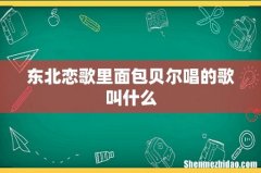 东北恋歌里面包贝尔唱的歌叫什么