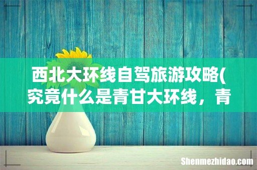 究竟什么是青甘大环线,青甘大环线是怎么样一条旅游路线 西北大环线自驾旅游攻略