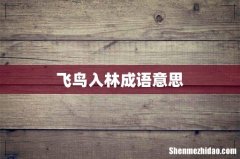 飞鸟入林成语意思