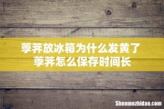 荸荠放冰箱为什么发黄了 荸荠怎么保存时间长