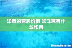 洋葱的营养价值 吃洋葱有什么作用