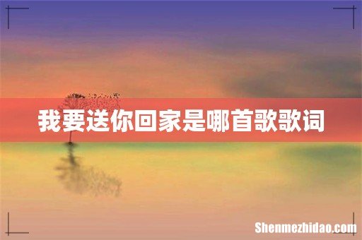 我要送你回家是哪首歌歌词