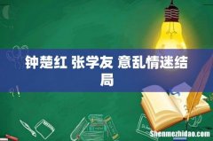 钟楚红 张学友 意乱情迷结局