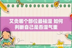 艾灸哪个部位最祛湿 如何判断自己是否湿气重