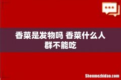 香菜是发物吗 香菜什么人群不能吃