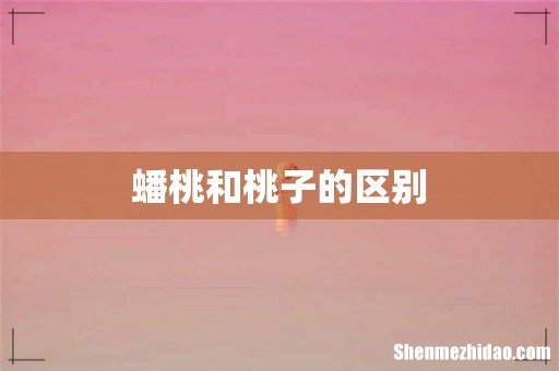 蟠桃和桃子的区别