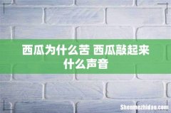 西瓜为什么苦 西瓜敲起来什么声音