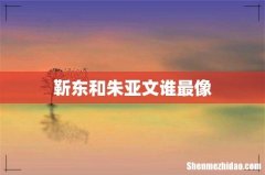 靳东和朱亚文谁最像