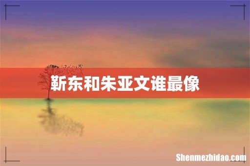 靳东和朱亚文谁最像