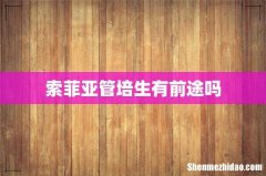索菲亚管培生有前途吗