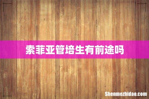 索菲亚管培生有前途吗