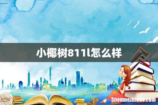 小椰树811l怎么样