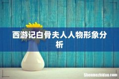 西游记白骨夫人人物形象分析