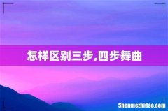 怎样区别三步,四步舞曲