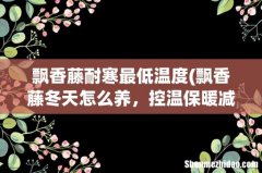 飘香藤冬天怎么养，控温保暖减少浇水 飘香藤耐寒最低温度
