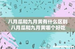 八月瓜和九月黄有什么区别 八月瓜和九月黄哪个好吃