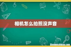 相机怎么拍照没声音
