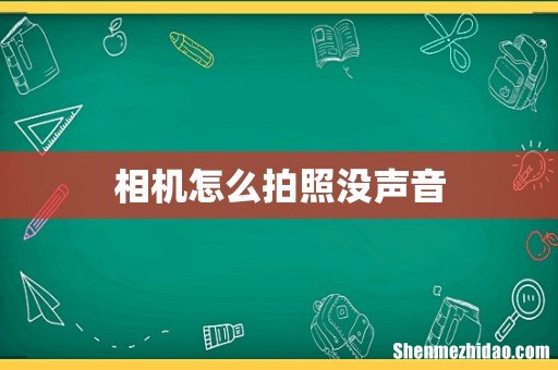 相机怎么拍照没声音
