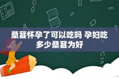 桑葚怀孕了可以吃吗 孕妇吃多少桑葚为好