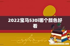 2022宝马530i哪个颜色好看