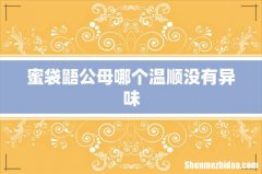 蜜袋鼯公母哪个温顺没有异味