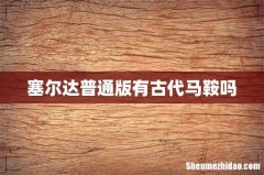 塞尔达普通版有古代马鞍吗
