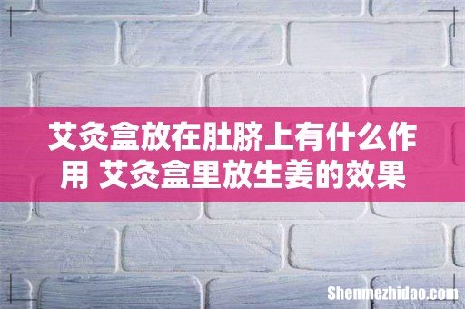 艾灸盒放在肚脐上有什么作用 艾灸盒里放生姜的效果