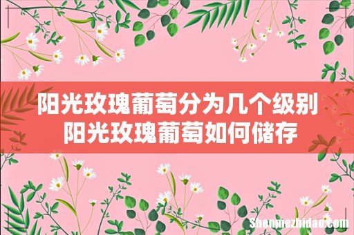 阳光玫瑰葡萄分为几个级别 阳光玫瑰葡萄如何储存