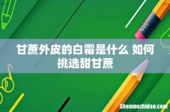 甘蔗外皮的白霜是什么 如何挑选甜甘蔗
